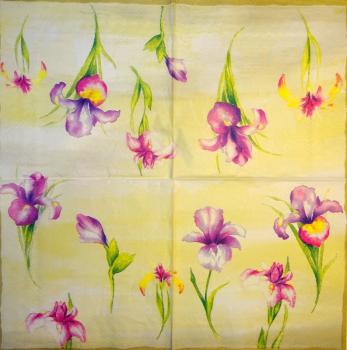 047 Lilies - 3 ply - (cream/purple) - Ihr